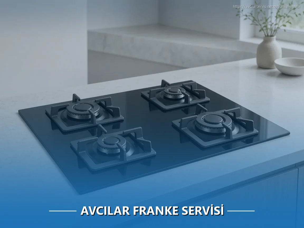 Avcılar Franke Servisi