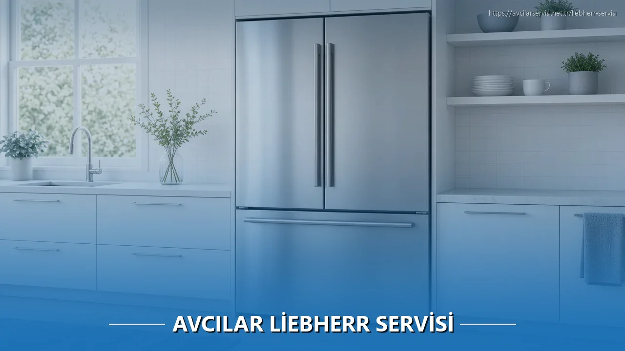 Avcılar Liebherr Servisi